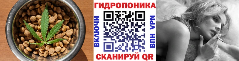 как найти закладки  Онега  Еда ТГК марихуана 