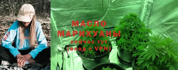 гидра Горнозаводск