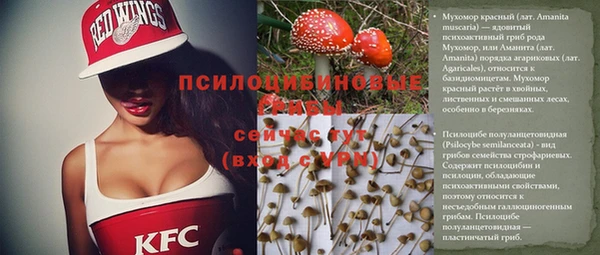 ПСИЛОЦИБИНОВЫЕ ГРИБЫ Лихославль