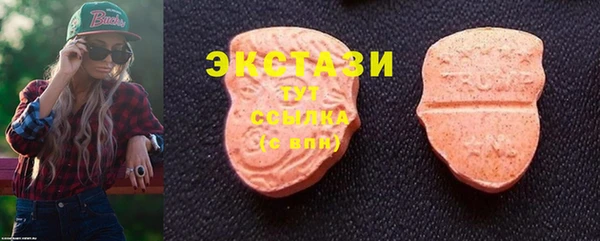 ECSTASY Гусев